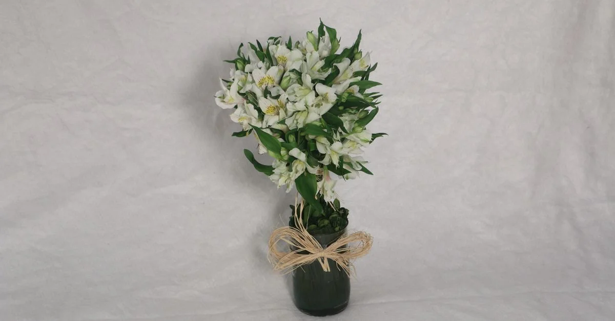 Un élégant bouquet de fleurs blanches magnifiquement arrangé dans un vase vert, idéal pour les cadeaux et les célébrations.