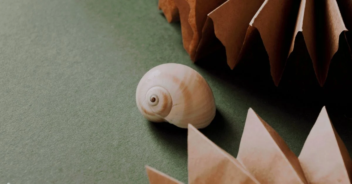 Coquillage et art origami sur une surface verte, capturé par le dessus.