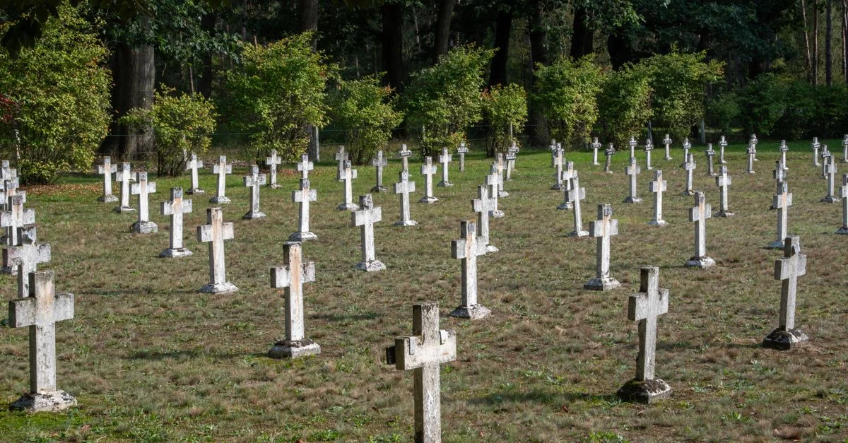Des rangées de croix anciennes dans le cadre serein d'un cimetière sous les arbres.